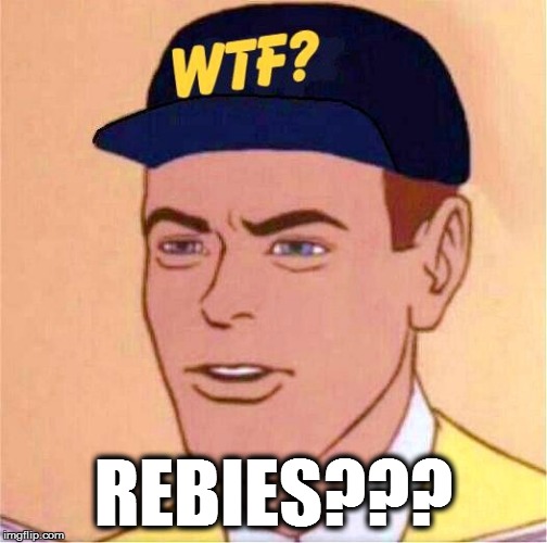 REBIES??? | made w/ Imgflip meme maker