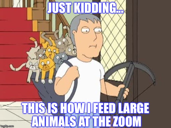 They took guns away so We made this | JUST KIDDING... THIS IS HOW I FEED LARGE ANIMALS AT THE ZOOM | image tagged in mayor adam west,meme,animals | made w/ Imgflip meme maker