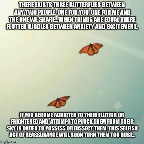 is-this-butterfly-meme-generator-rainbow-unicorn-butterfly-kitten-meme-generator-imgflip