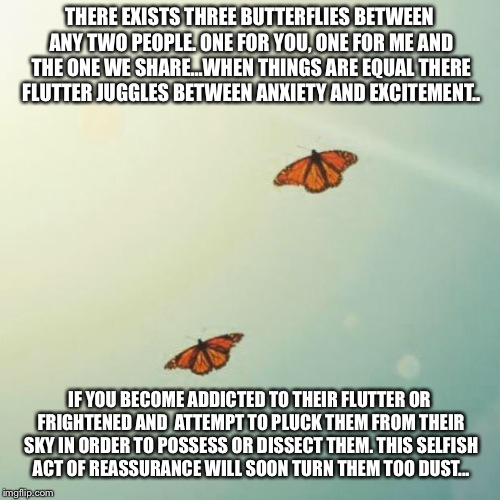 Butterflies Imgflip