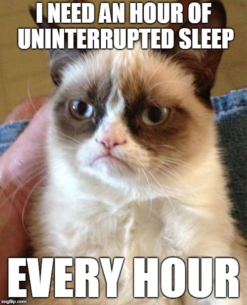 Grumpy Cat | I NEED AN HOUR OF UNINTERRUPTED SLEEP; EVERY HOUR | image tagged in memes,grumpy cat | made w/ Imgflip meme maker