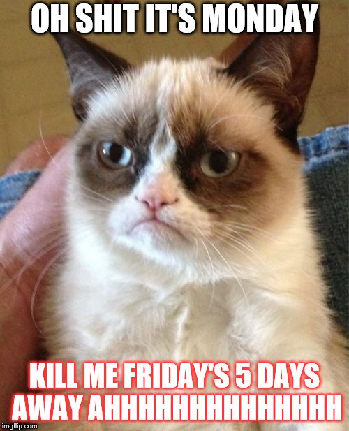 Grumpy Cat | OH SHIT IT'S MONDAY; KILL ME FRIDAY'S 5 DAYS AWAY AHHHHHHHHHHHHHH | image tagged in memes,grumpy cat | made w/ Imgflip meme maker