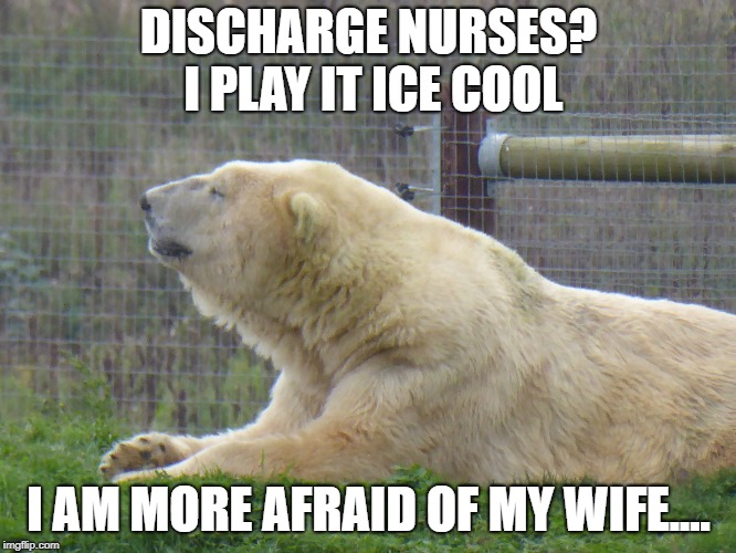 DISCHARGE NURSES? I PLAY IT ICE COOL; I AM MORE AFRAID OF MY WIFE.... | image tagged in funny memes | made w/ Imgflip meme maker