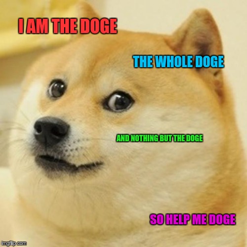 Doge Meme | I AM THE DOGE; THE WHOLE DOGE; AND NOTHING BUT THE DOGE; SO HELP ME DOGE | image tagged in memes,doge | made w/ Imgflip meme maker