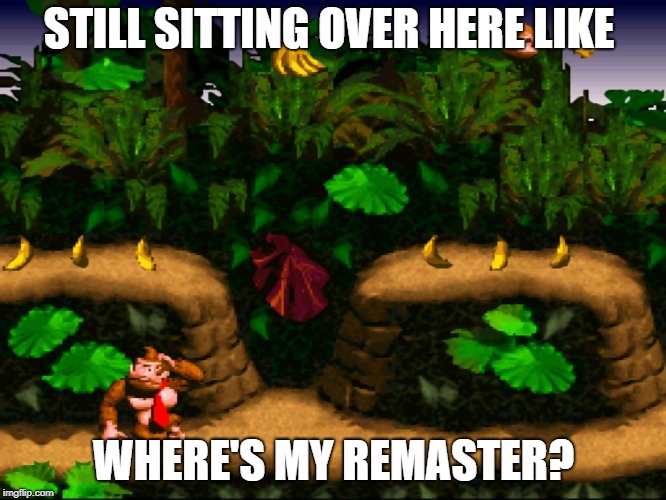 Donkey Kong | STILL SITTING OVER HERE LIKE; WHERE'S MY REMASTER? | image tagged in donkey kong | made w/ Imgflip meme maker