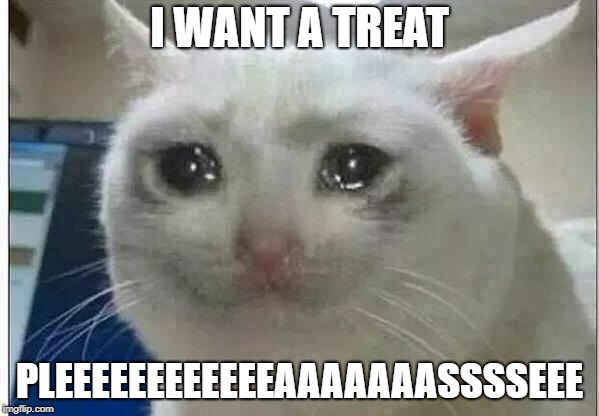 crying cat | I WANT A TREAT; PLEEEEEEEEEEEEAAAAAAASSSSEEE | image tagged in crying cat | made w/ Imgflip meme maker