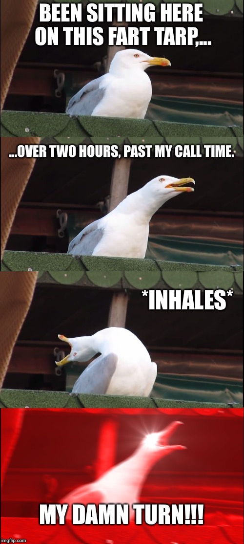 Hurry up and wait | BEEN SITTING HERE ON THIS FART TARP,... ...OVER TWO HOURS, PAST MY CALL TIME. *INHALES*; MY DAMN TURN!!! | image tagged in memes,inhaling seagull,health,waiting,fart,turn | made w/ Imgflip meme maker