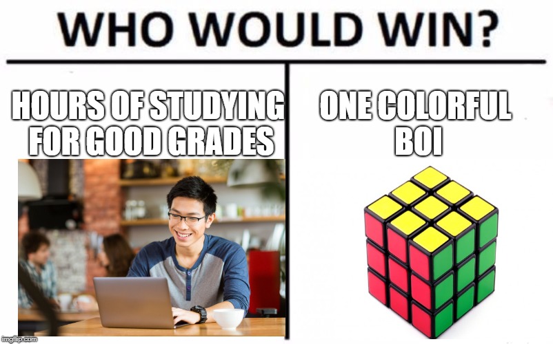 a colorful boi!!! | HOURS OF STUDYING FOR GOOD GRADES; ONE COLORFUL BOI | image tagged in rubik cube,who would win | made w/ Imgflip meme maker