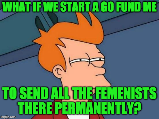 Futurama Fry Meme | WHAT IF WE START A GO FUND ME TO SEND ALL THE FEMENISTS THERE PERMANENTLY? | image tagged in memes,futurama fry | made w/ Imgflip meme maker