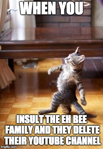 no chill and 3rd degree burns | WHEN YOU; INSULT THE EH BEE FAMILY AND THEY DELETE THEIR YOUTUBE CHANNEL | image tagged in memes,cool cat stroll,eh bee family,insult,lol | made w/ Imgflip meme maker