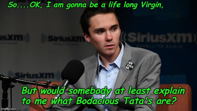 Hoggs have nose rings | So....OK, I am gonna be a life long Virgin, But would somebody at least explain to me what Bodacious Tata's are? | image tagged in david hogg,titties,a officer and a gentleman | made w/ Imgflip meme maker