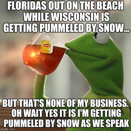 But That's None Of My Business Meme | FLORIDAS OUT ON THE BEACH WHILE WISCONSIN IS GETTING PUMMELED BY SNOW... BUT THAT'S NONE OF MY BUSINESS. OH WAIT YES IT IS I'M GETTING PUMMELED BY SNOW AS WE SPEAK | image tagged in memes,but thats none of my business,kermit the frog | made w/ Imgflip meme maker