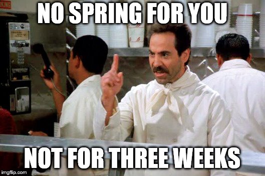 no spring for you | NO SPRING FOR YOU; NOT FOR THREE WEEKS | image tagged in spring nazi,soup nazi | made w/ Imgflip meme maker