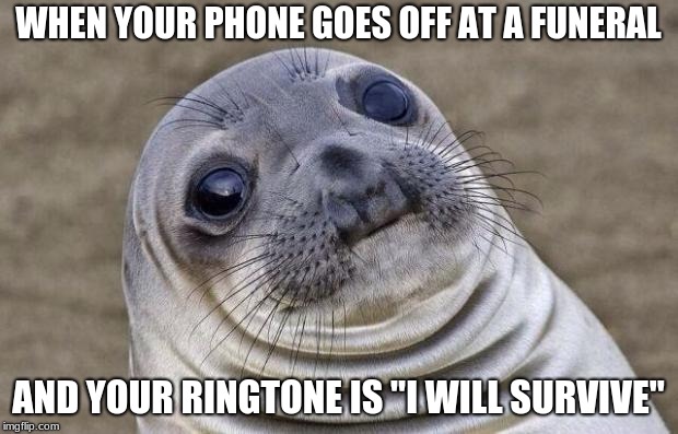 Awkward Moment Sealion | WHEN YOUR PHONE GOES OFF AT A FUNERAL; AND YOUR RINGTONE IS "I WILL SURVIVE" | image tagged in memes,awkward moment sealion | made w/ Imgflip meme maker