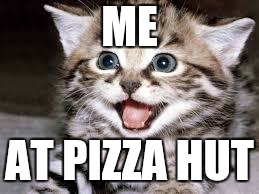 happy cat | ME; AT PIZZA HUT | image tagged in happy cat | made w/ Imgflip meme maker