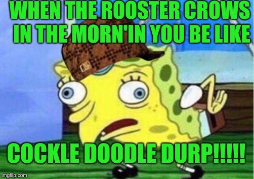 Mocking Spongebob | WHEN THE ROOSTER CROWS IN THE MORN'IN YOU BE LIKE; COCKLE DOODLE DURP!!!!! | image tagged in memes,mocking spongebob,scumbag | made w/ Imgflip meme maker