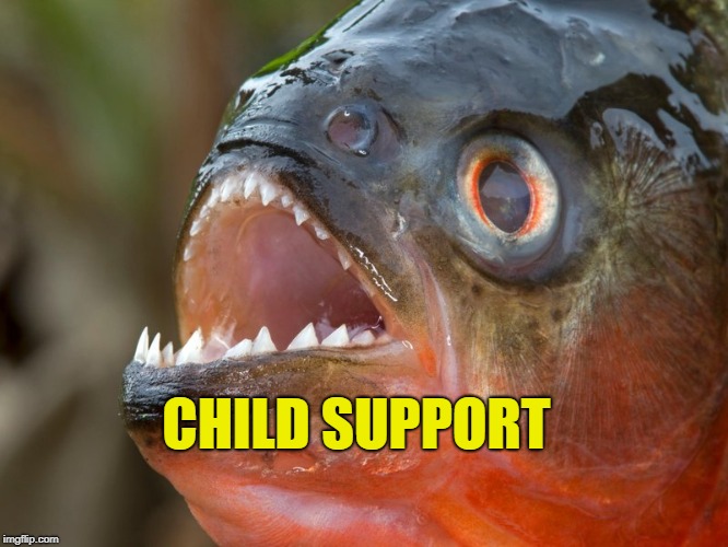 CHILD SUPPORT | made w/ Imgflip meme maker