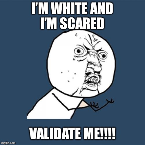 Y U No Meme | I’M WHITE AND I’M SCARED; VALIDATE ME!!!! | image tagged in memes,y u no | made w/ Imgflip meme maker