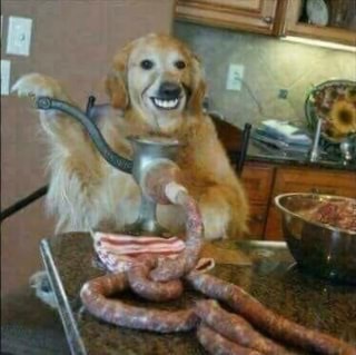 Sausage Dog Blank Meme Template
