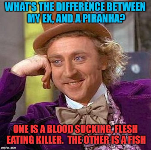 Creepy Condescending Wonka Meme | WHAT’S THE DIFFERENCE BETWEEN MY EX, AND A PIRANHA? ONE IS A BLOOD SUCKING, FLESH EATING KILLER.  THE OTHER IS A FISH | image tagged in memes,creepy condescending wonka | made w/ Imgflip meme maker