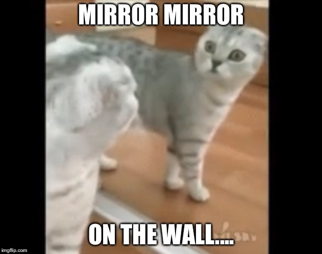 MIRROR MIRROR ON THE WALL.... | made w/ Imgflip meme maker