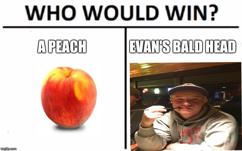 Evan | A PEACH; EVAN'S BALD HEAD | image tagged in memes,who would win | made w/ Imgflip meme maker