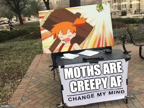 Change My Mind Meme | MOTHS ARE CREEPY AF | image tagged in change my mind | made w/ Imgflip meme maker