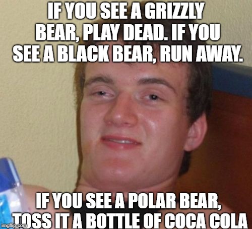 10 Guy | IF YOU SEE A GRIZZLY BEAR, PLAY DEAD. IF YOU SEE A BLACK BEAR, RUN AWAY. IF YOU SEE A POLAR BEAR, TOSS IT A BOTTLE OF COCA COLA | image tagged in memes,10 guy | made w/ Imgflip meme maker