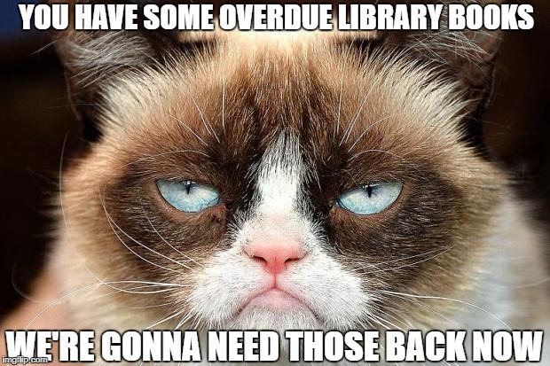 Grumpy Cat Not Amused Meme | YOU HAVE SOME OVERDUE LIBRARY BOOKS; WE'RE GONNA NEED THOSE BACK NOW | image tagged in memes,grumpy cat not amused,grumpy cat | made w/ Imgflip meme maker