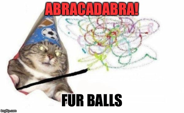 They magically appear. | . | image tagged in cats,fur ball,magic,memes,funny | made w/ Imgflip meme maker