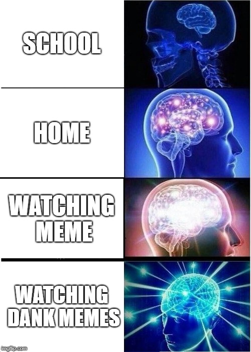 Expanding Brain | SCHOOL; HOME; WATCHING MEME; WATCHING DANK MEMES | image tagged in memes,expanding brain | made w/ Imgflip meme maker