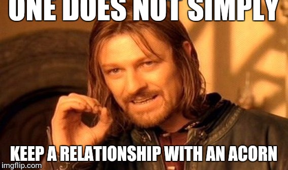 One Does Not Simply Meme | ONE DOES NOT SIMPLY KEEP A RELATIONSHIP WITH AN ACORN | image tagged in memes,one does not simply | made w/ Imgflip meme maker
