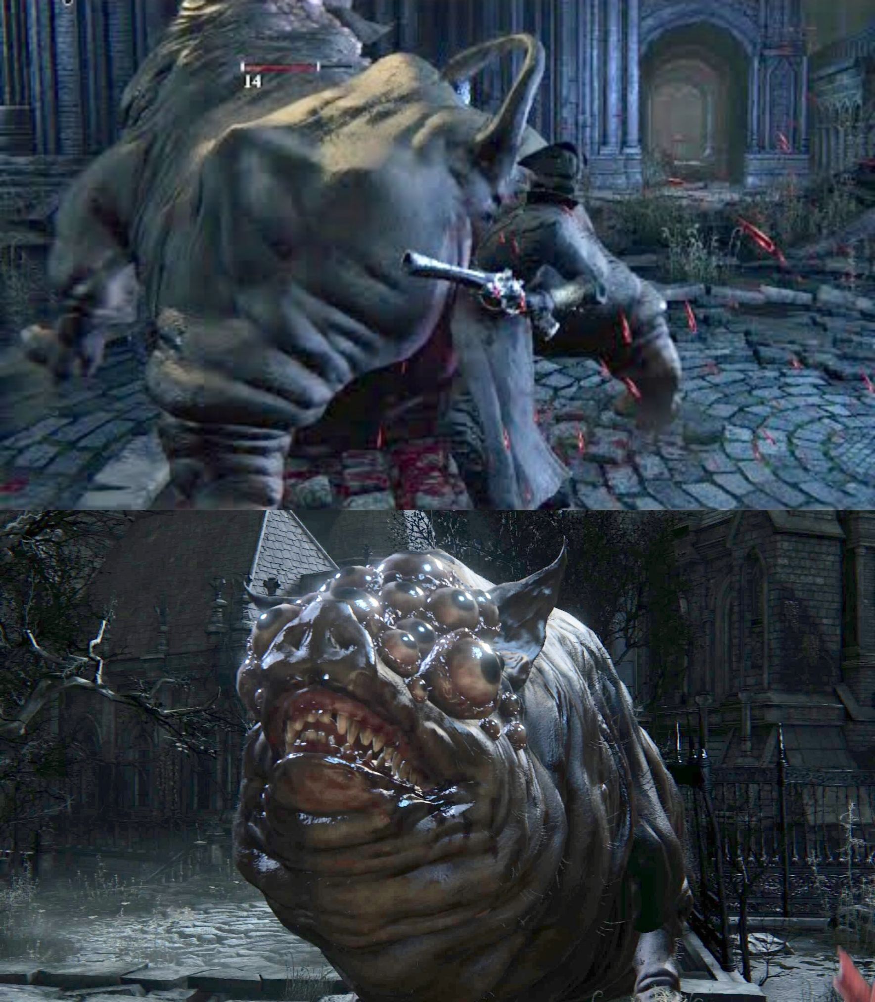 High Quality Bloodborne Expand Dong Blank Meme Template