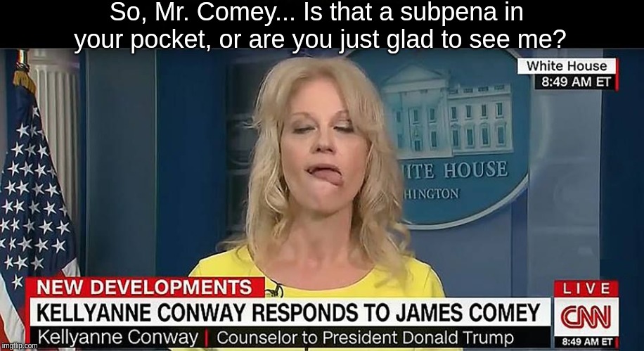 Kellyanne Conway Tongue 1 | So, Mr. Comey... Is that a subpena in your pocket, or are you just glad to see me? | image tagged in kellyanne conway tongue 1 | made w/ Imgflip meme maker