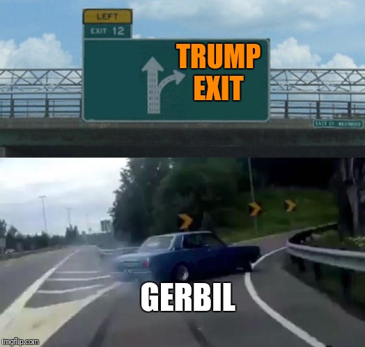 Gerbil entering Trump's exit | TRUMP EXIT; GERBIL | image tagged in memes,left exit 12 off ramp | made w/ Imgflip meme maker