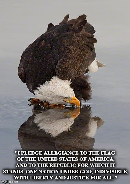 "I PLEDGE ALLEGIANCE TO THE FLAG OF THE UNITED STATES OF AMERICA, AND TO THE REPUBLIC FOR WHICH IT STANDS, ONE NATION UNDER GOD, INDIVISIBLE, WITH LIBERTY AND JUSTICE FOR ALL." | image tagged in eagle4 | made w/ Imgflip meme maker