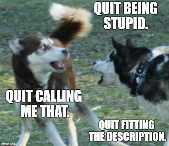 Tikka skimo Argue | QUIT BEING STUPID. QUIT CALLING ME THAT. QUIT FITTING THE DESCRIPTION. | image tagged in tikka skimo argue | made w/ Imgflip meme maker