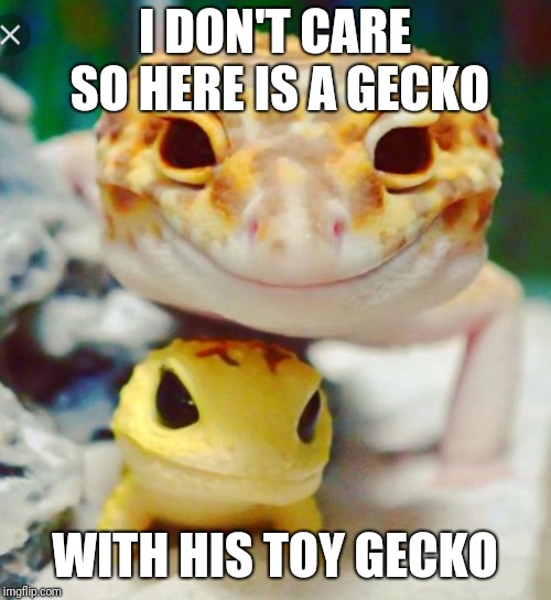 Gecko | I DON'T CARE SO HERE IS A GECKO; WITH HIS TOY GECKO | image tagged in gecko | made w/ Imgflip meme maker