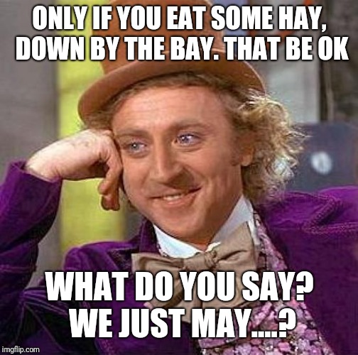 Creepy Condescending Wonka Meme | ONLY IF YOU EAT SOME HAY, DOWN BY THE BAY. THAT BE OK WHAT DO YOU SAY? WE JUST MAY....? | image tagged in memes,creepy condescending wonka | made w/ Imgflip meme maker