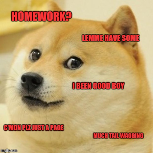 Doge Meme | HOMEWORK? LEMME HAVE SOME I BEEN GOOD BOY C'MON PLZ JUST A PAGE MUCH TAIL WAGGING | image tagged in memes,doge | made w/ Imgflip meme maker