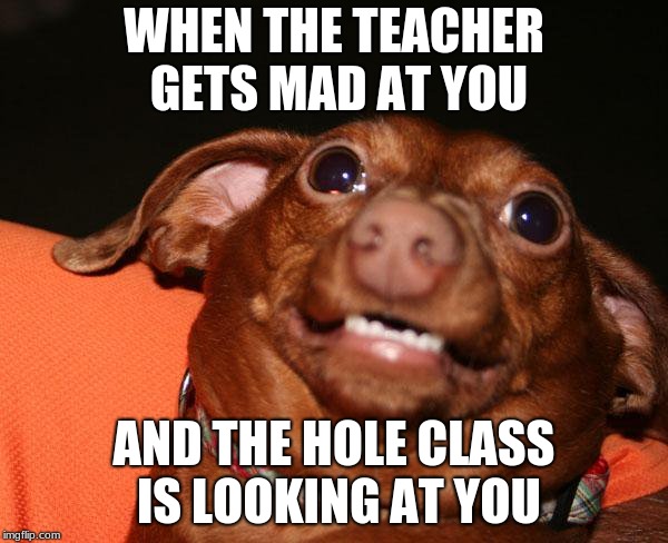 Guys Im Sorry | WHEN THE TEACHER GETS MAD AT YOU; AND THE HOLE CLASS IS LOOKING AT YOU | image tagged in guys im sorry | made w/ Imgflip meme maker