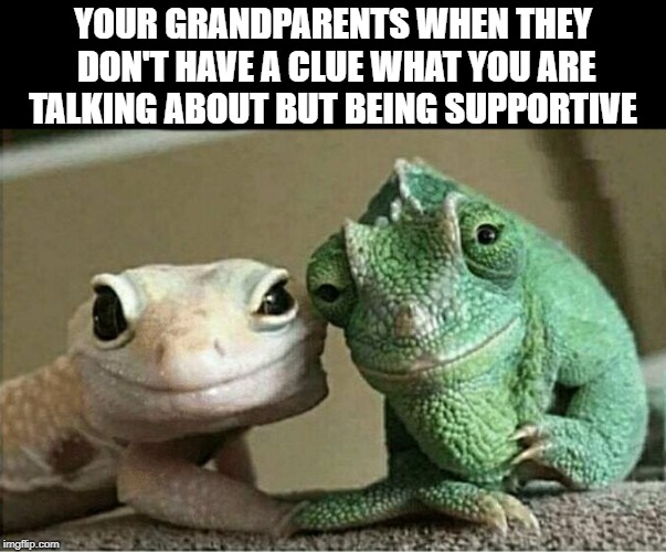 your grandparents when they don't have a clue | YOUR GRANDPARENTS WHEN THEY DON'T HAVE A CLUE WHAT YOU ARE TALKING ABOUT BUT BEING SUPPORTIVE | image tagged in funny | made w/ Imgflip meme maker