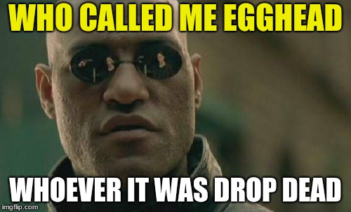 Matrix Morpheus | WHO CALLED ME EGGHEAD; WHOEVER IT WAS DROP DEAD | image tagged in memes,matrix morpheus | made w/ Imgflip meme maker