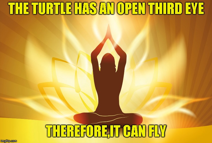 THE TURTLE HAS AN OPEN THIRD EYE THEREFORE,IT CAN FLY | made w/ Imgflip meme maker