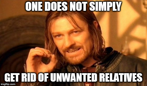 One Does Not Simply Meme | ONE DOES NOT SIMPLY GET RID OF UNWANTED RELATIVES | image tagged in memes,one does not simply | made w/ Imgflip meme maker