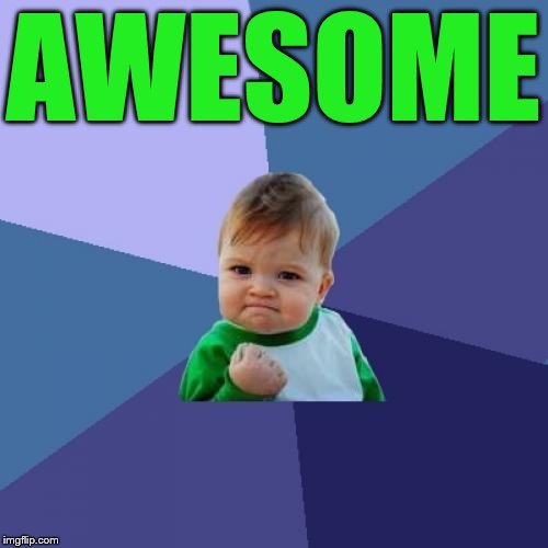 Success Kid Meme | AWESOME | image tagged in memes,success kid | made w/ Imgflip meme maker