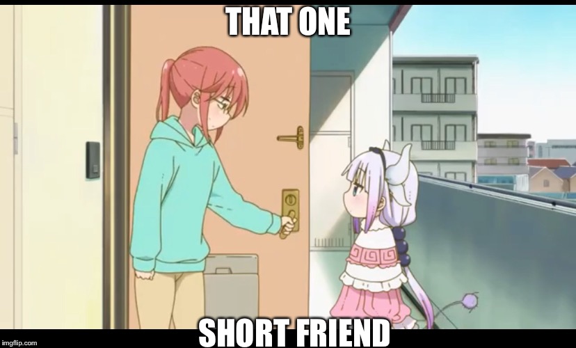 That one friend  | THAT ONE; SHORT FRIEND | image tagged in short | made w/ Imgflip meme maker
