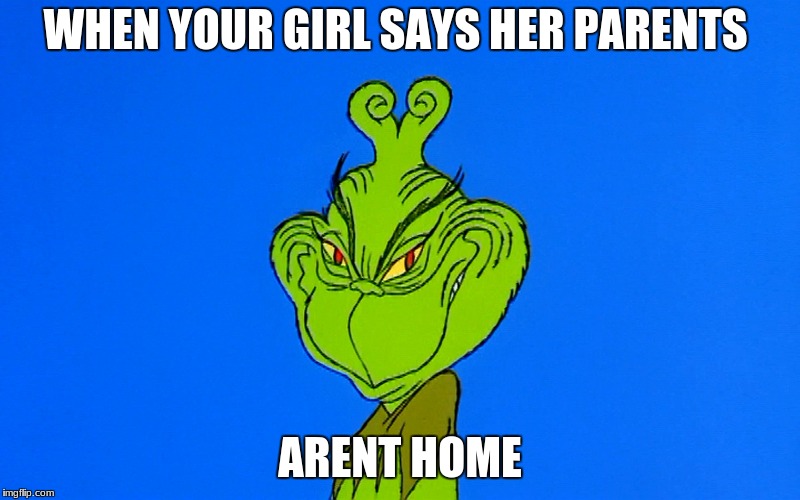 grinch smiling | WHEN YOUR GIRL SAYS HER PARENTS; ARENT HOME | image tagged in grinch smiling | made w/ Imgflip meme maker