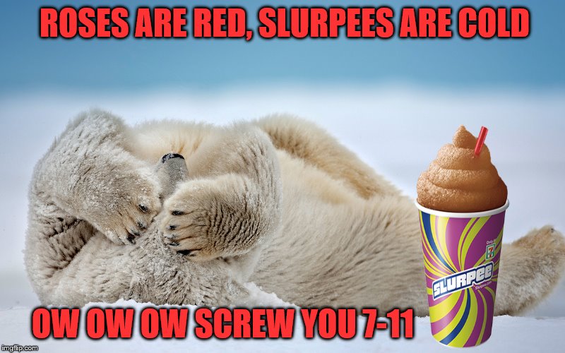 Ode To A Slurpee | ROSES ARE RED, SLURPEES ARE COLD; OW OW OW SCREW YOU 7-11 | image tagged in memes,animals,funny,polar bear,slurpee,7-11 | made w/ Imgflip meme maker