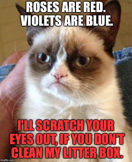 Change that litter box already | ROSES ARE RED. VIOLETS ARE BLUE. I'LL SCRATCH YOUR EYES OUT, IF YOU DON'T CLEAN MY LITTER BOX. | image tagged in memes,grumpy cat,roses are red,crazy eyes,litter box,toilet humor | made w/ Imgflip meme maker